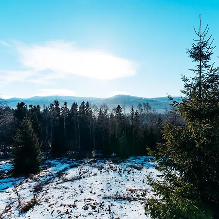 Apartmán Widokowka 12 *