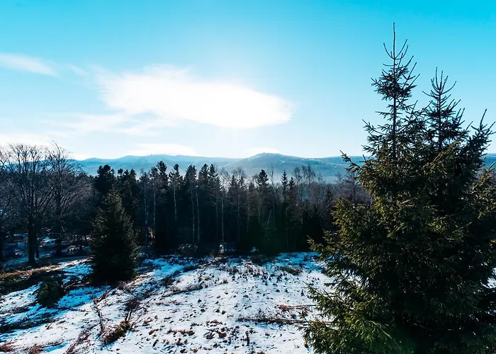 Apartament Widokówka 12 *